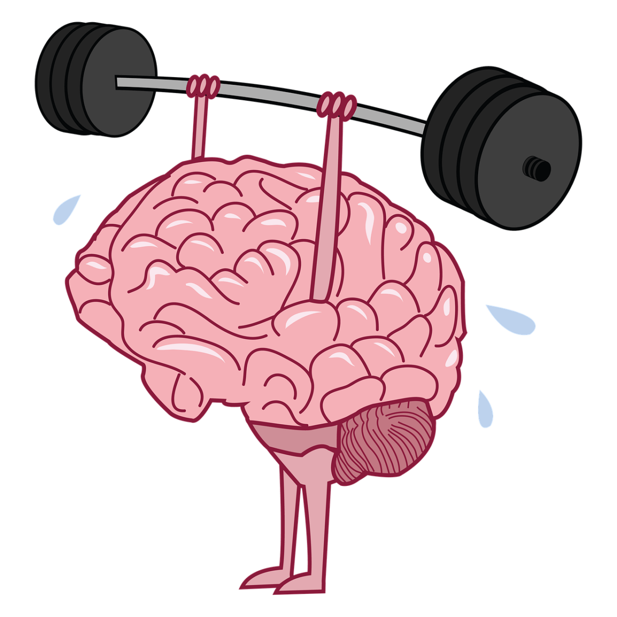 brain, exercise, training, common sense, mind, challenge, health, dumbbell, strength, strong, workout, fitness, wellness, cut out, brain, brain, brain, brain, brain, exercise, common sense, common sense, challenge, challenge, challenge, challenge, dumbbell, strong, strong