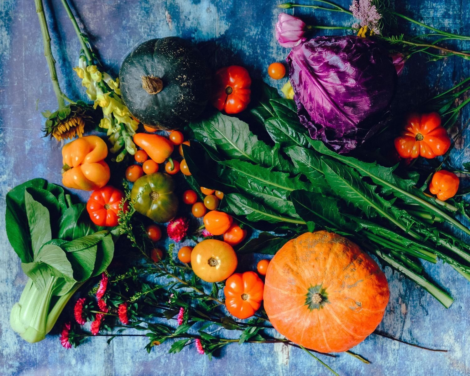 Grow Your Own Abundance