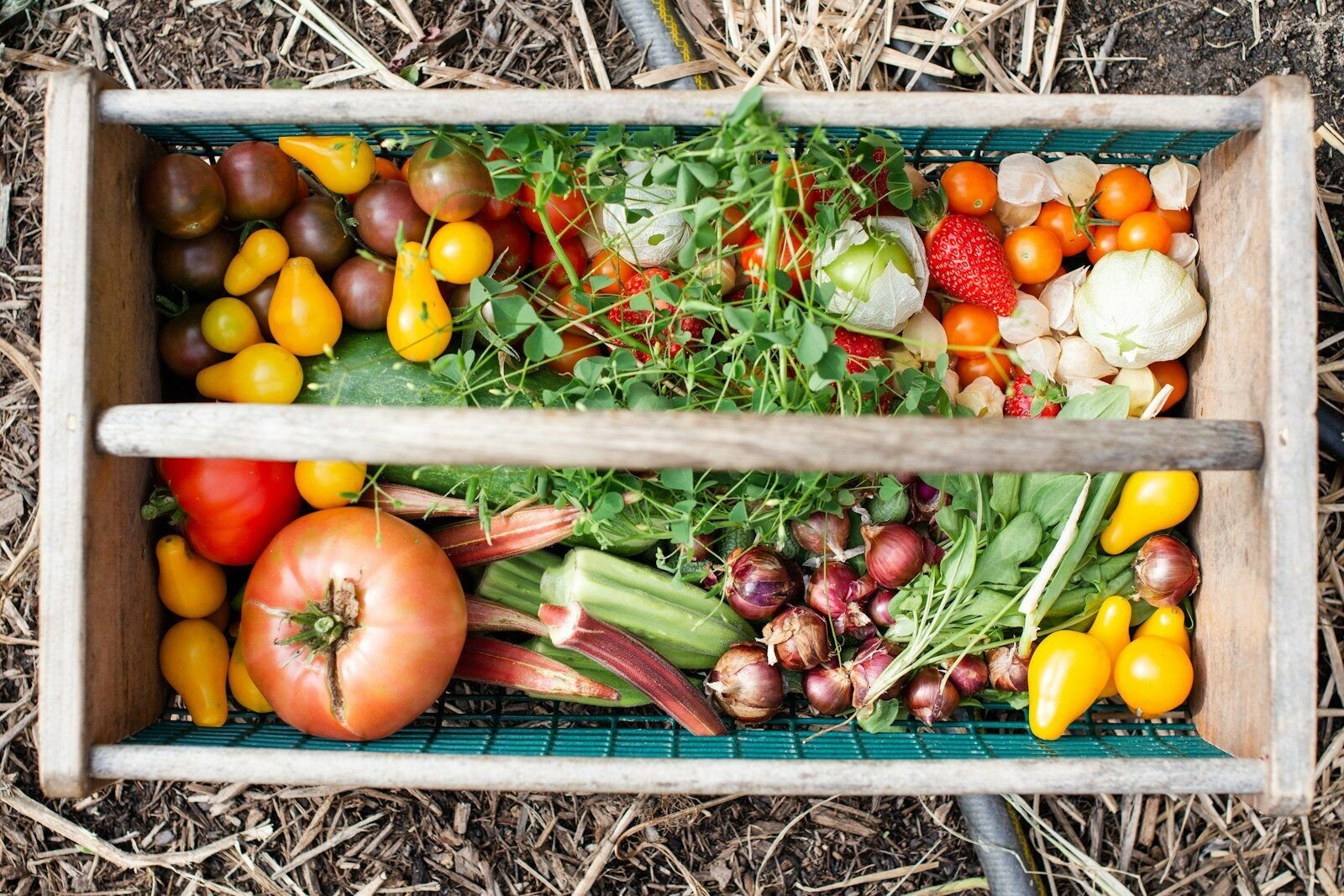 A wooden harvest basket filled with assorted tomatoes, okra, shallots, and fresh herbs